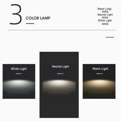 Asian Inspired Modern LED Ceiling Light