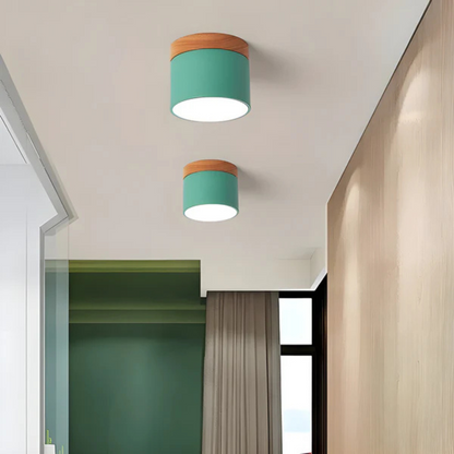 Classic Retro Style LED Light Fixture