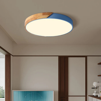 Modern Nordic LED Ceiling Light