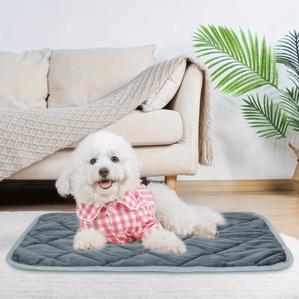 Warm Therapeutic Dog Heating Mat