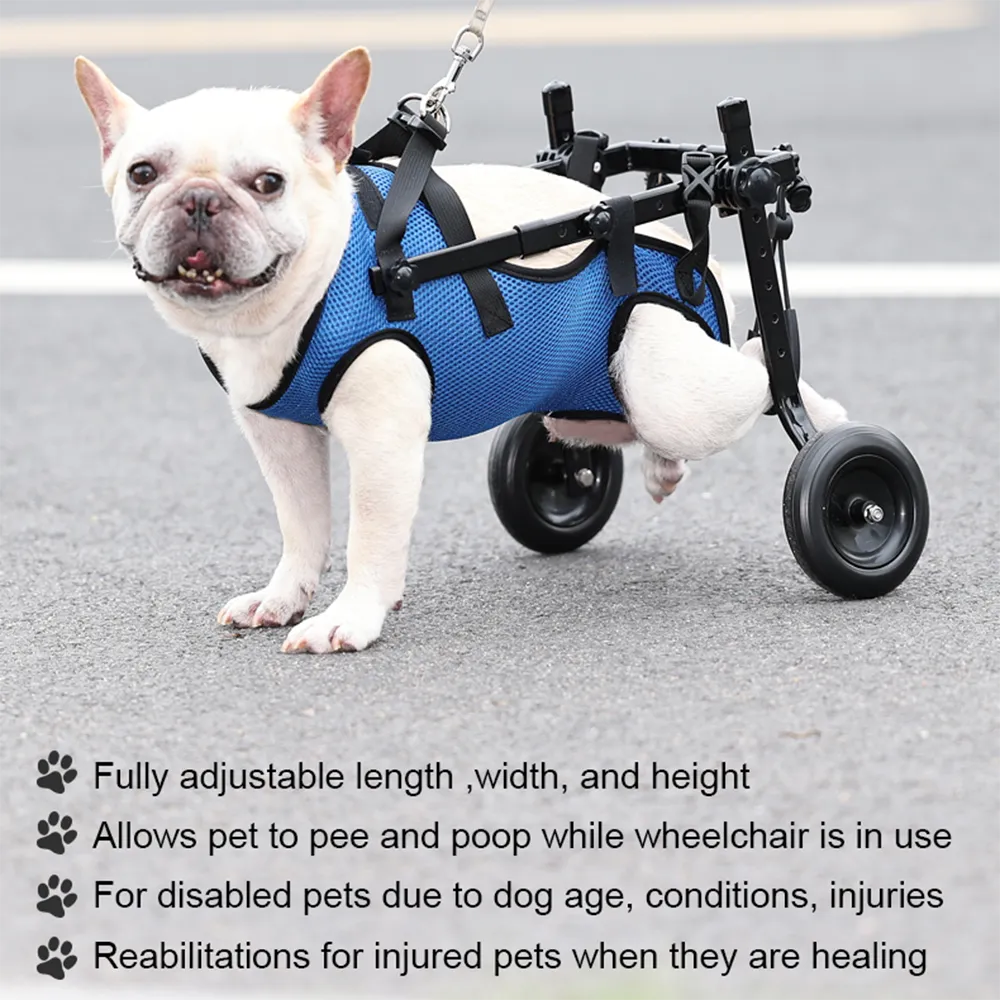 Pet Wheelchair for Dogs with Hind Leg Support