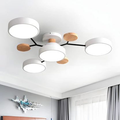 Contemporary Circular LED Ceiling Light