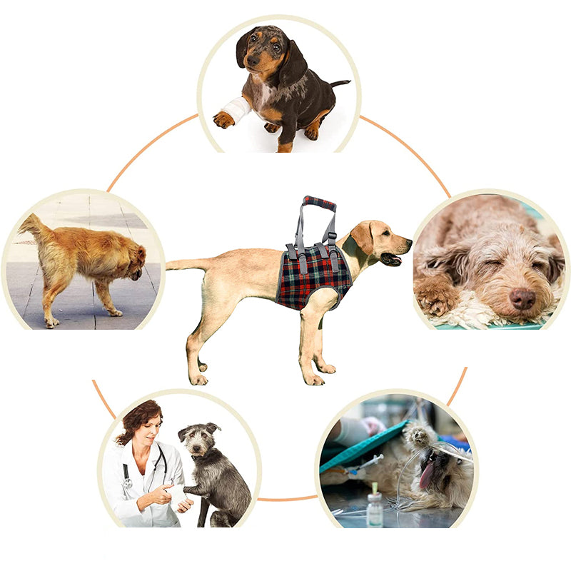 Supportive Dog Leg Brace Strap