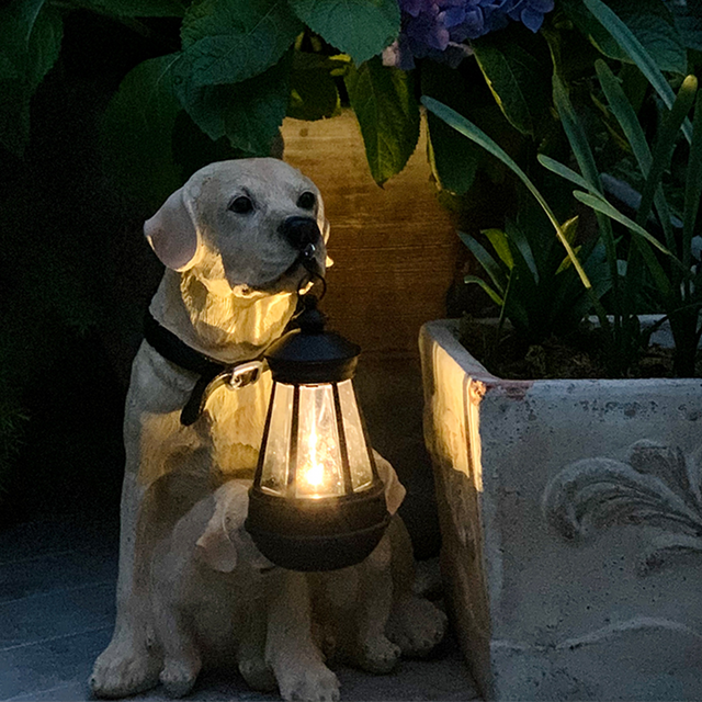 Fun Pet Solar Powered Lamp