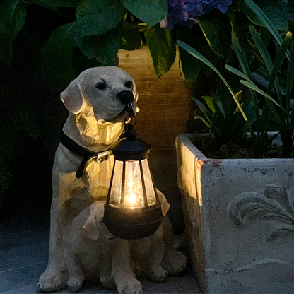 Fun Pet Solar Powered Lamp