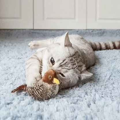 Fun Feather Teaser Toy