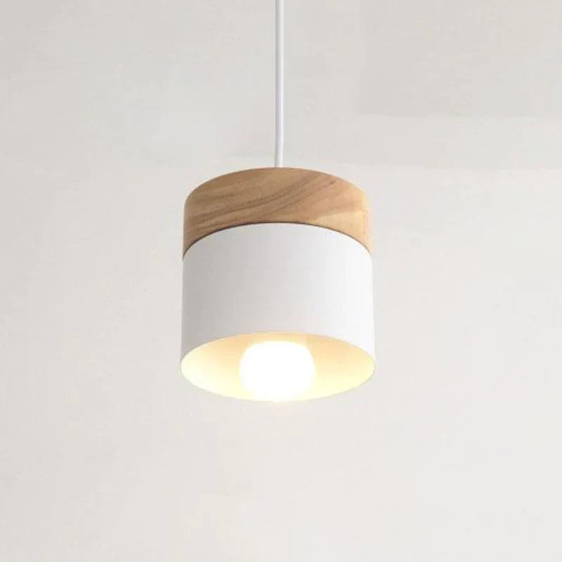 Stylish Glass Pendant Lamp for Home Decor