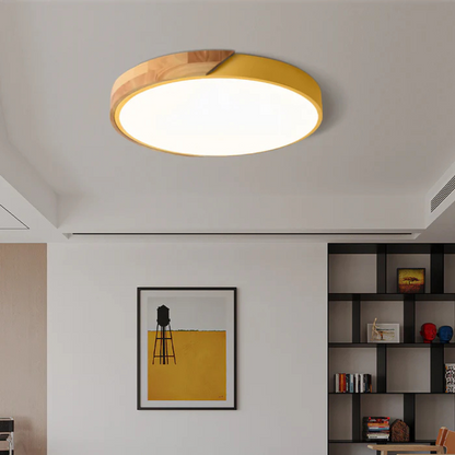 Modern Nordic LED Ceiling Light