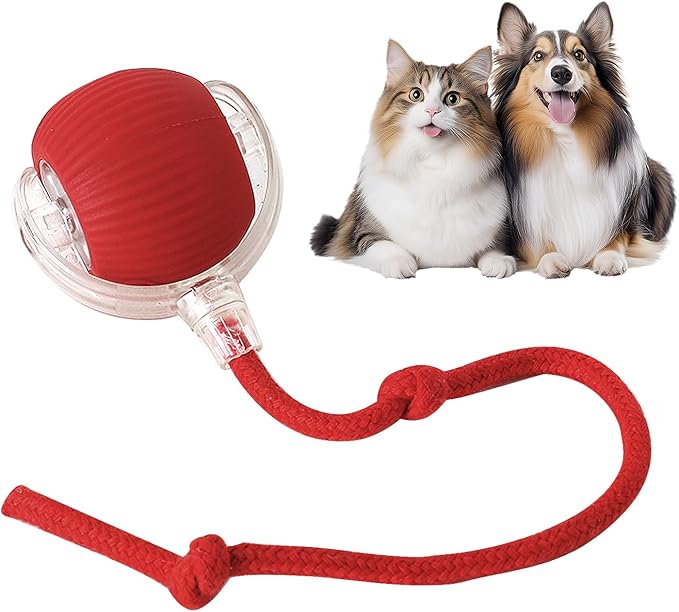 Fun Interactive Pet Ball Set - Befez