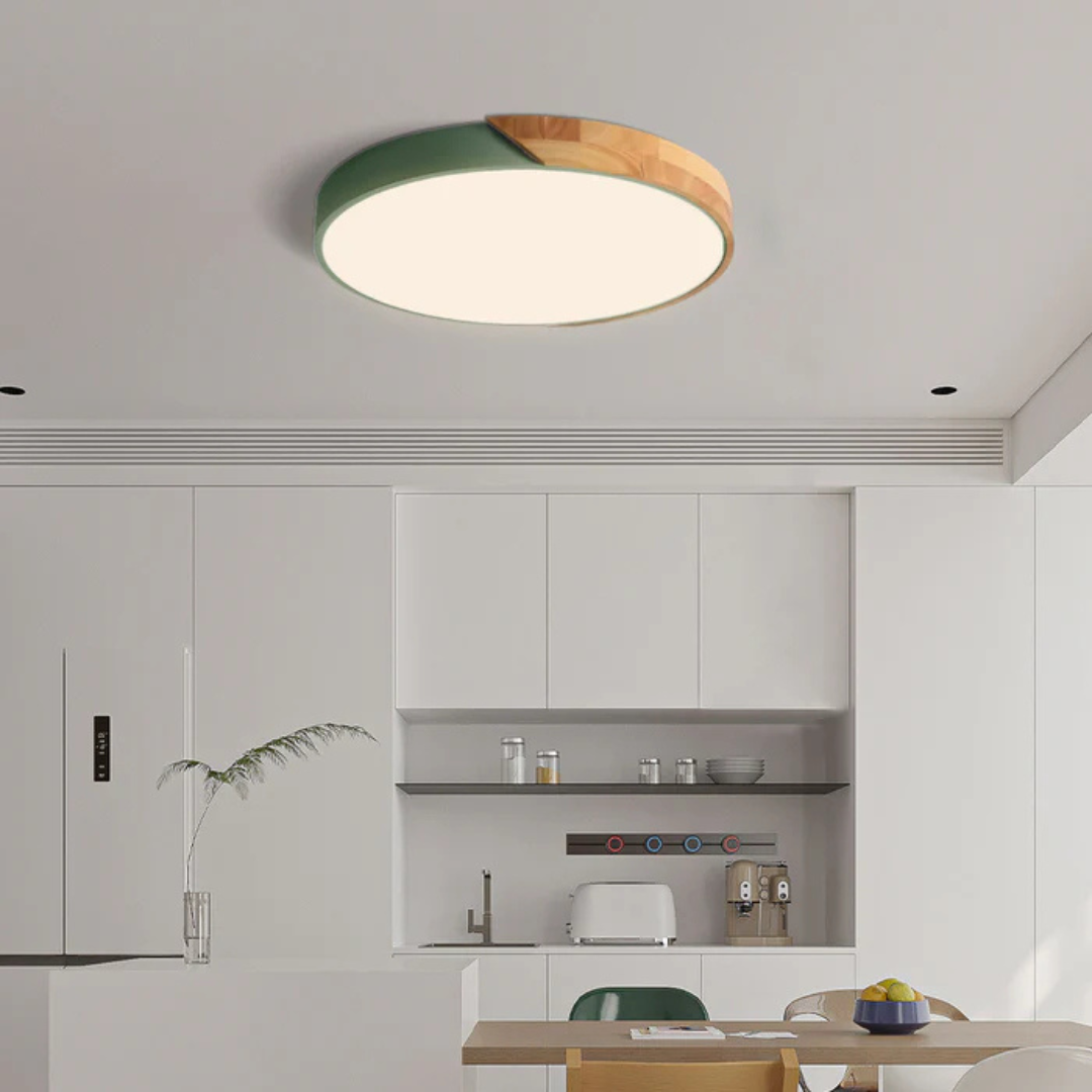 Modern Nordic LED Ceiling Light