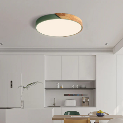 Modern Nordic LED Ceiling Light