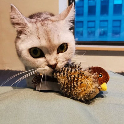 Fun Feather Teaser Toy