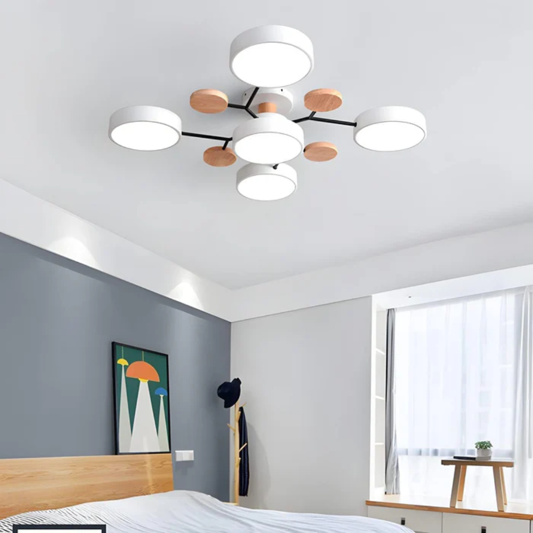 Contemporary Circular LED Ceiling Light