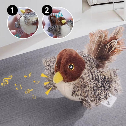 Fun Feather Teaser Toy