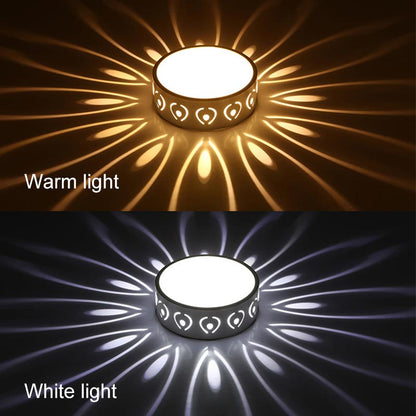 Bright LED Ceiling Lamp for Hallway and Entrance