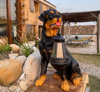 Outdoor Pet Solar Lamp Waterproof Automatic