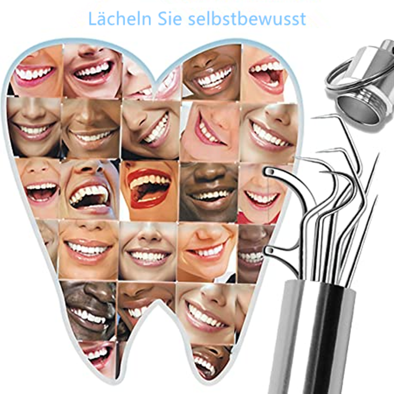 Premium Metal Toothpicks 7 Piece Set