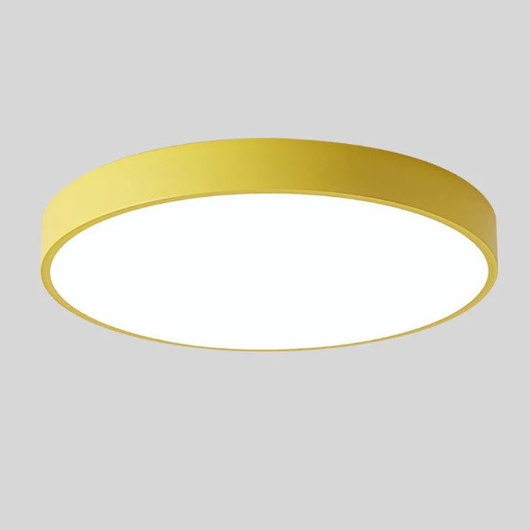 Modern Nordic LED Ceiling Light