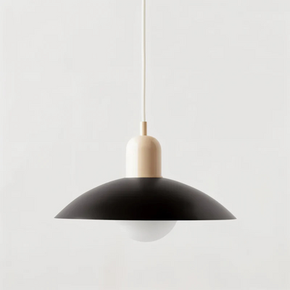 Chic Glass Pendant Light