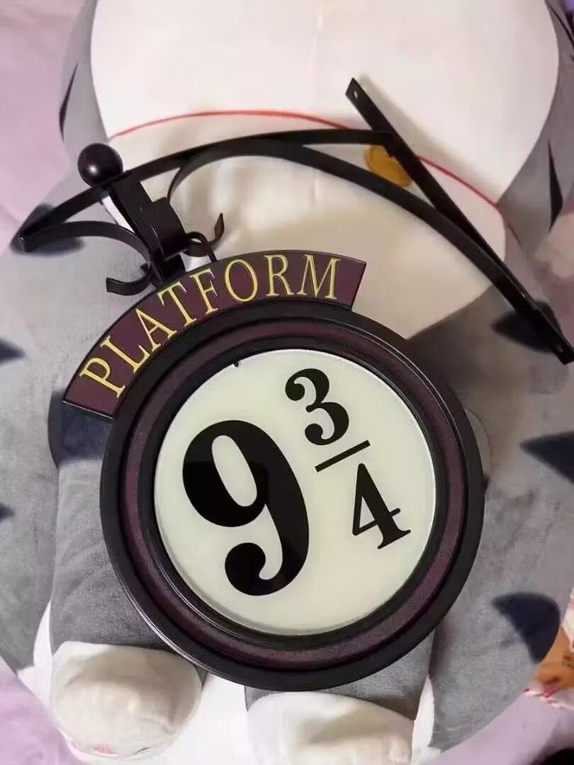 Enchanted Hogwarts Platform Wall Light