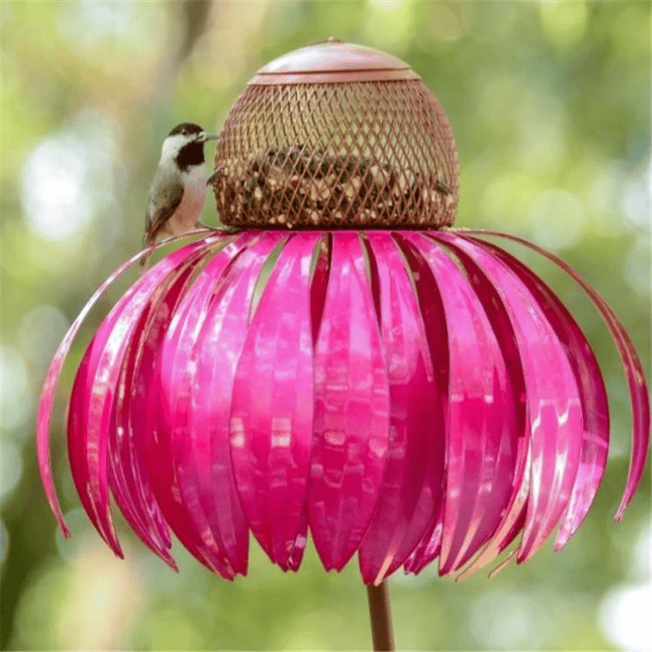 Colorful Bird Feeder with Free Flower Seeds