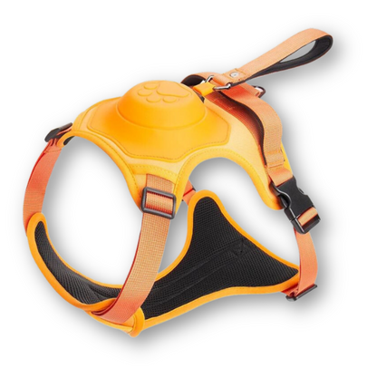 Versatile 2-in-1 Dog Leash Harness Set - Befez