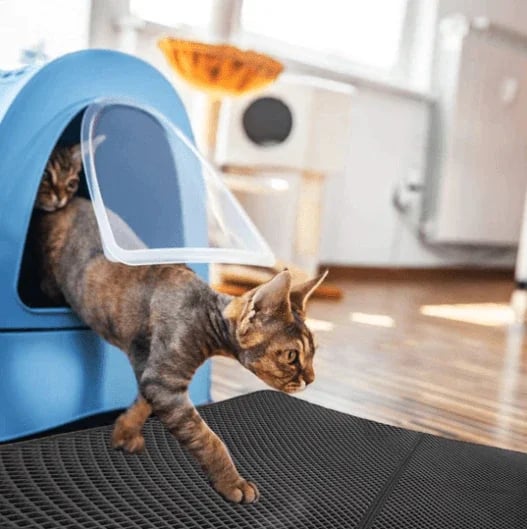 Befez | Easy Clean Litter Box System