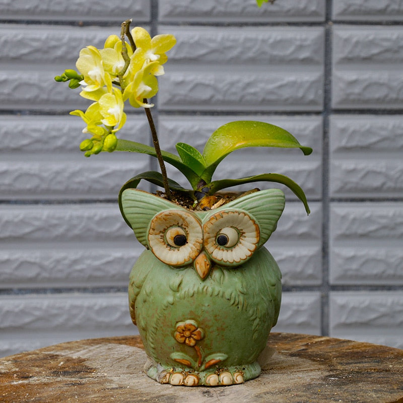 Cute Ceramic Owl Planter Pot - Befez