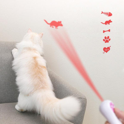 Fun Pet Laser Pointer Toy with LED Lights