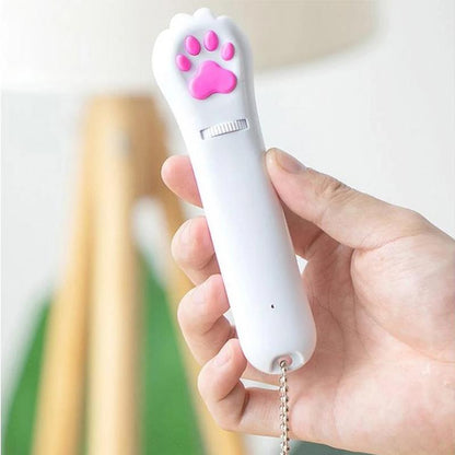 Fun Pet Laser Pointer Toy with LED Lights