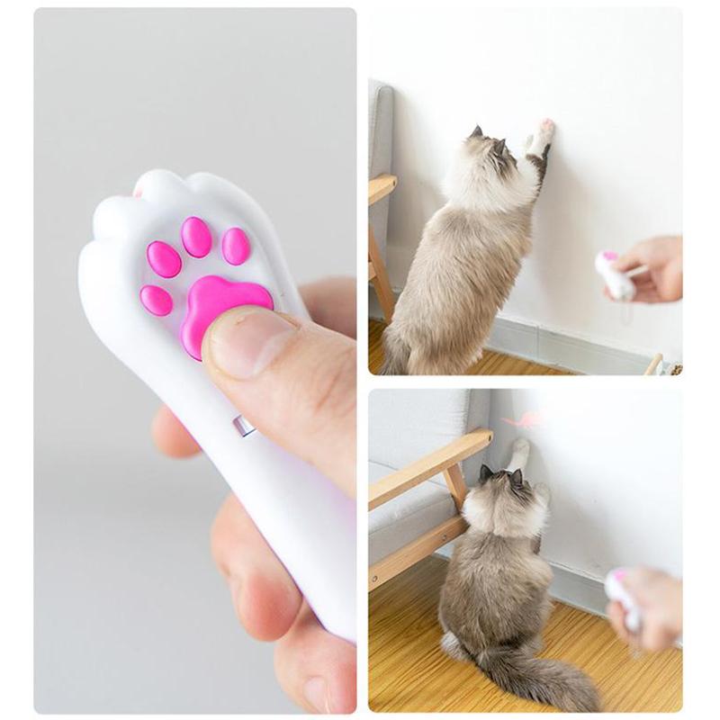Fun Pet Laser Pointer Toy with LED Lights