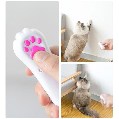 Fun Pet Laser Pointer Toy with LED Lights
