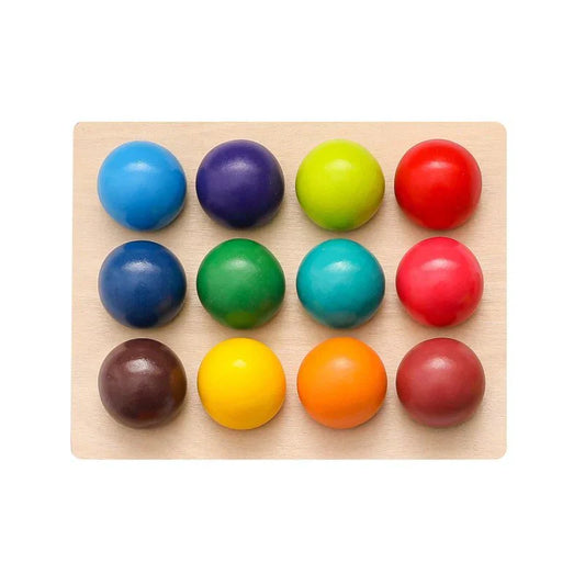 Color Sorting Educational Toy Set - Befez
