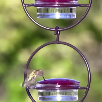 Befez | Classic Bird Stainless Steel Water Dispenser