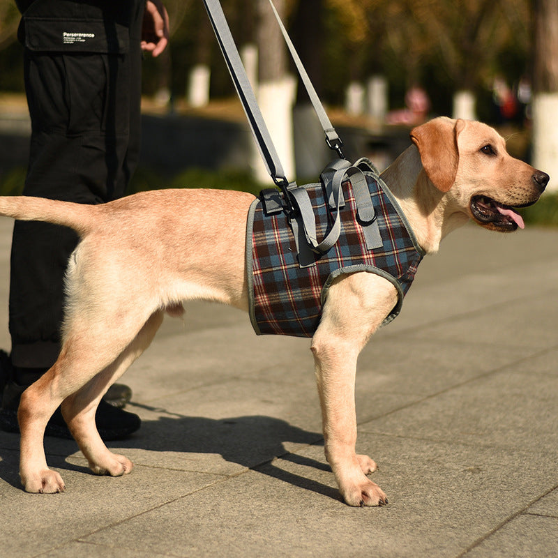 Supportive Dog Leg Brace Strap