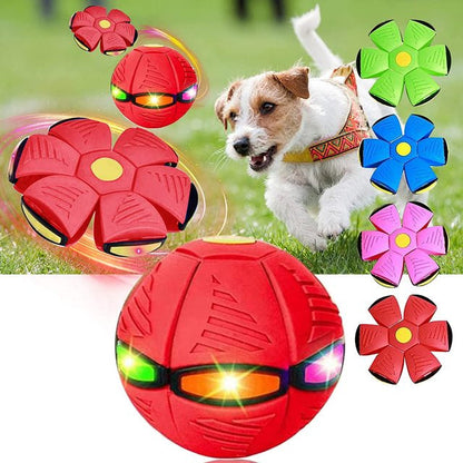 Fun Dog Fetch Ball Toy