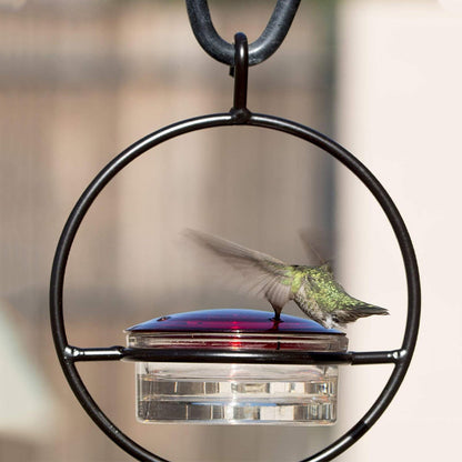 Befez | Classic Bird Stainless Steel Water Dispenser
