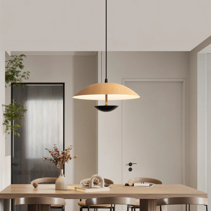 Metal Pendant Light Fixture