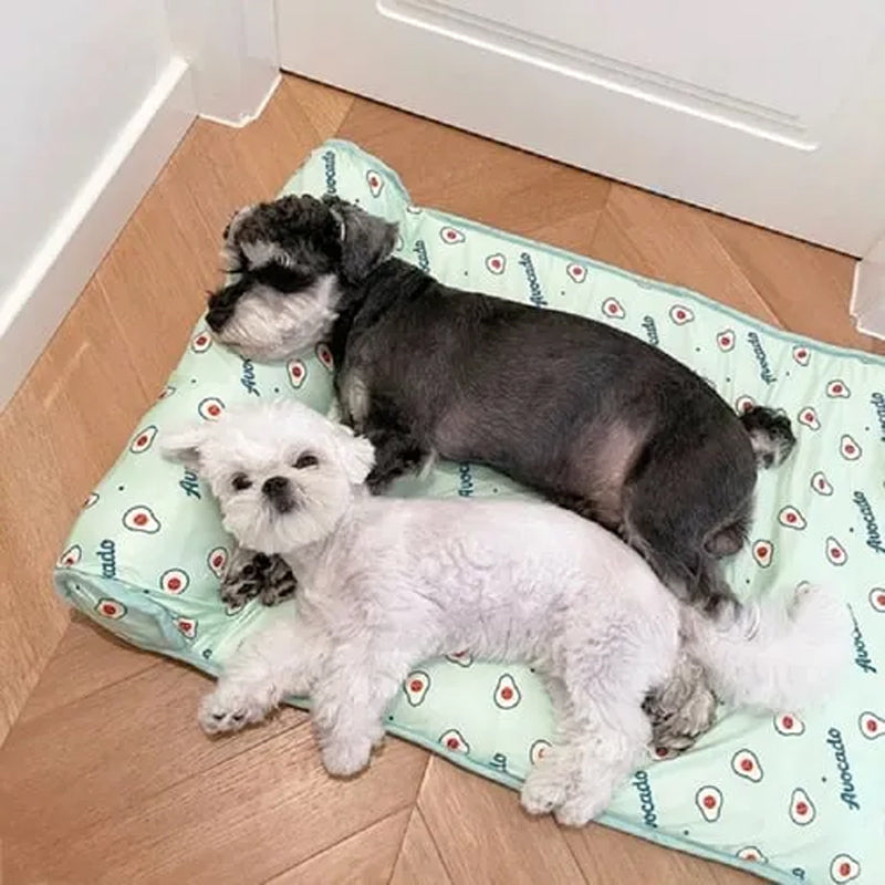 Comfortable Pet Cooling Bed