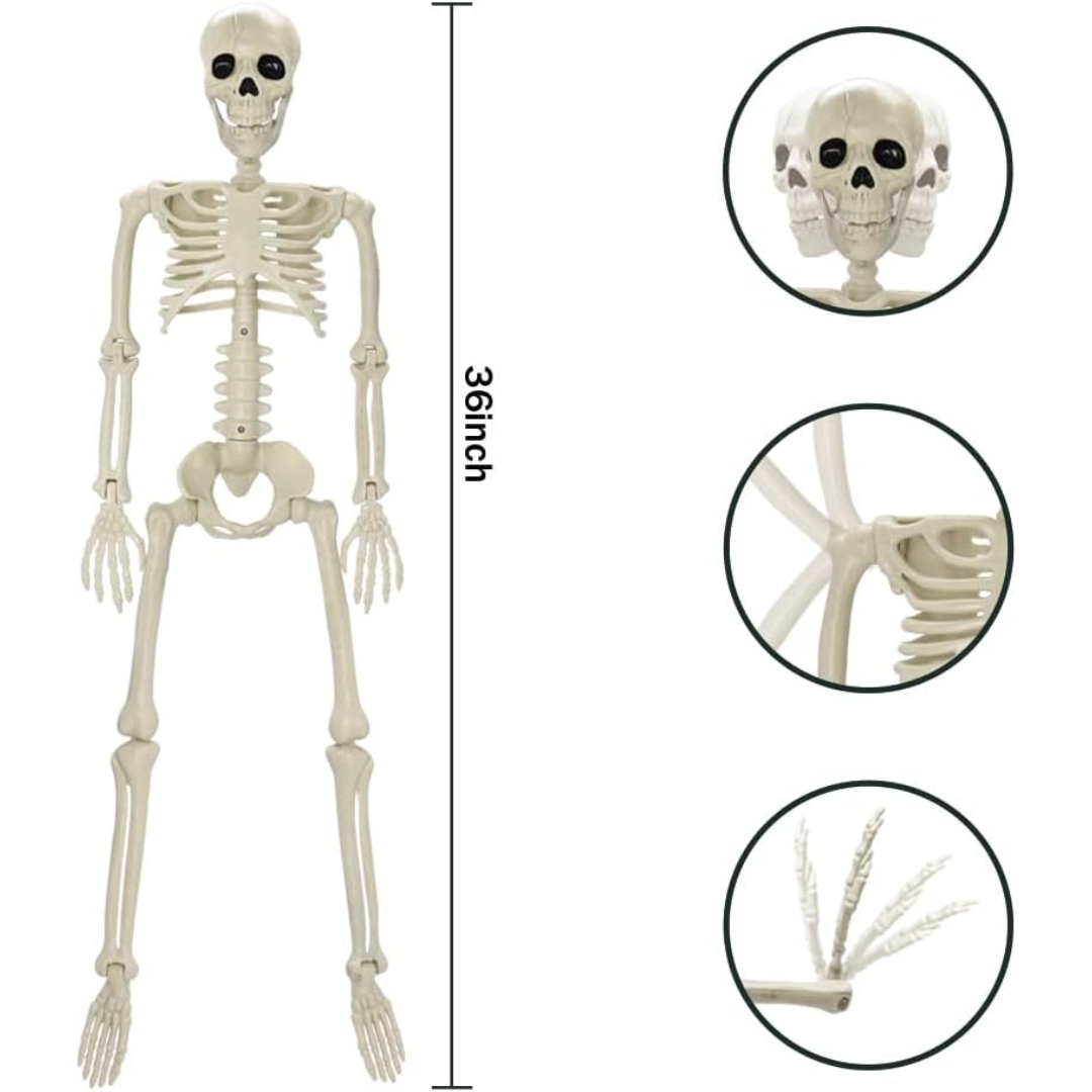 Spooky Life Size Skeleton Halloween Decor
