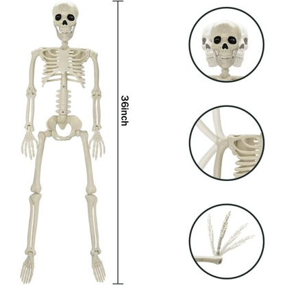 Spooky Life Size Skeleton Halloween Decor