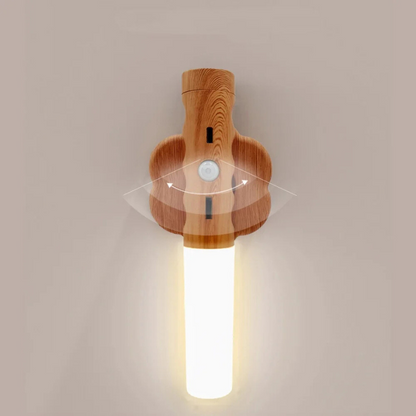 Motion Activated LED Night Light with Sensor