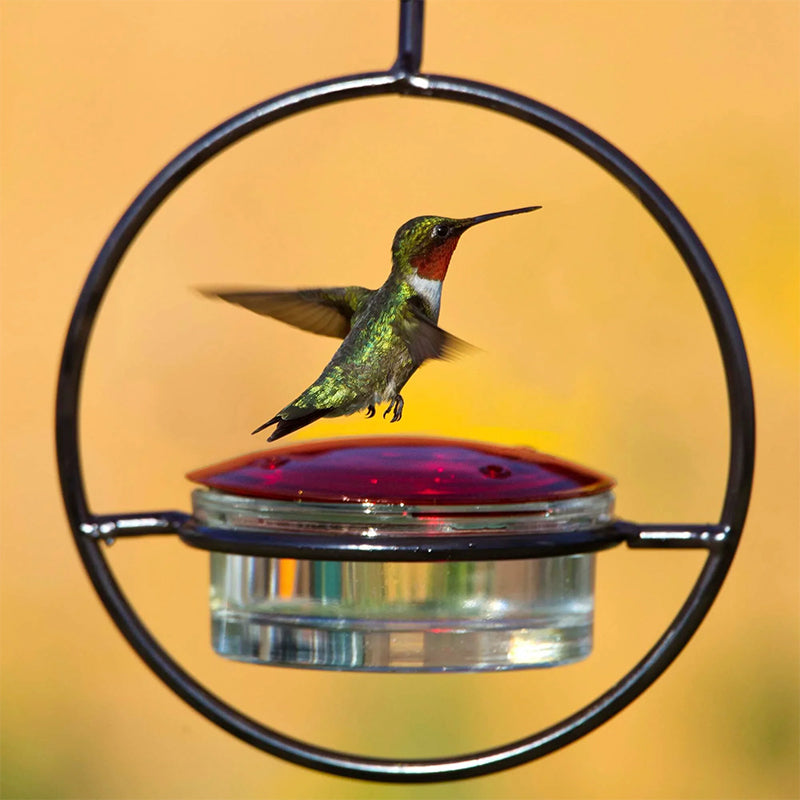 Befez | Classic Bird Stainless Steel Water Dispenser