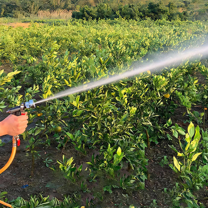 Powerful Electric Spray Gun