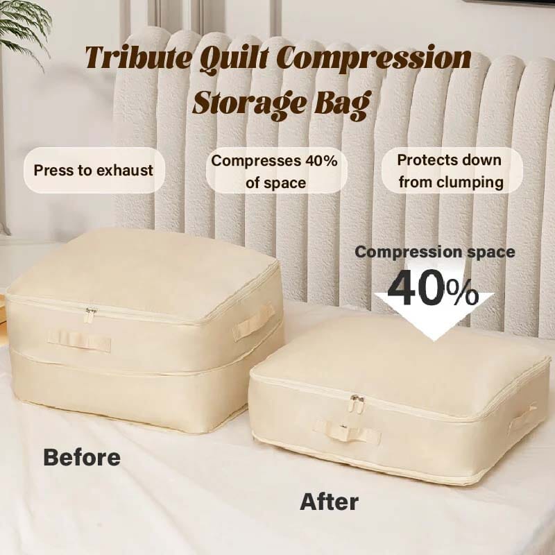 Compact Folding Storage Organizer