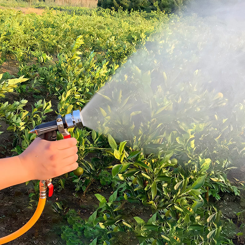 Powerful Electric Spray Gun