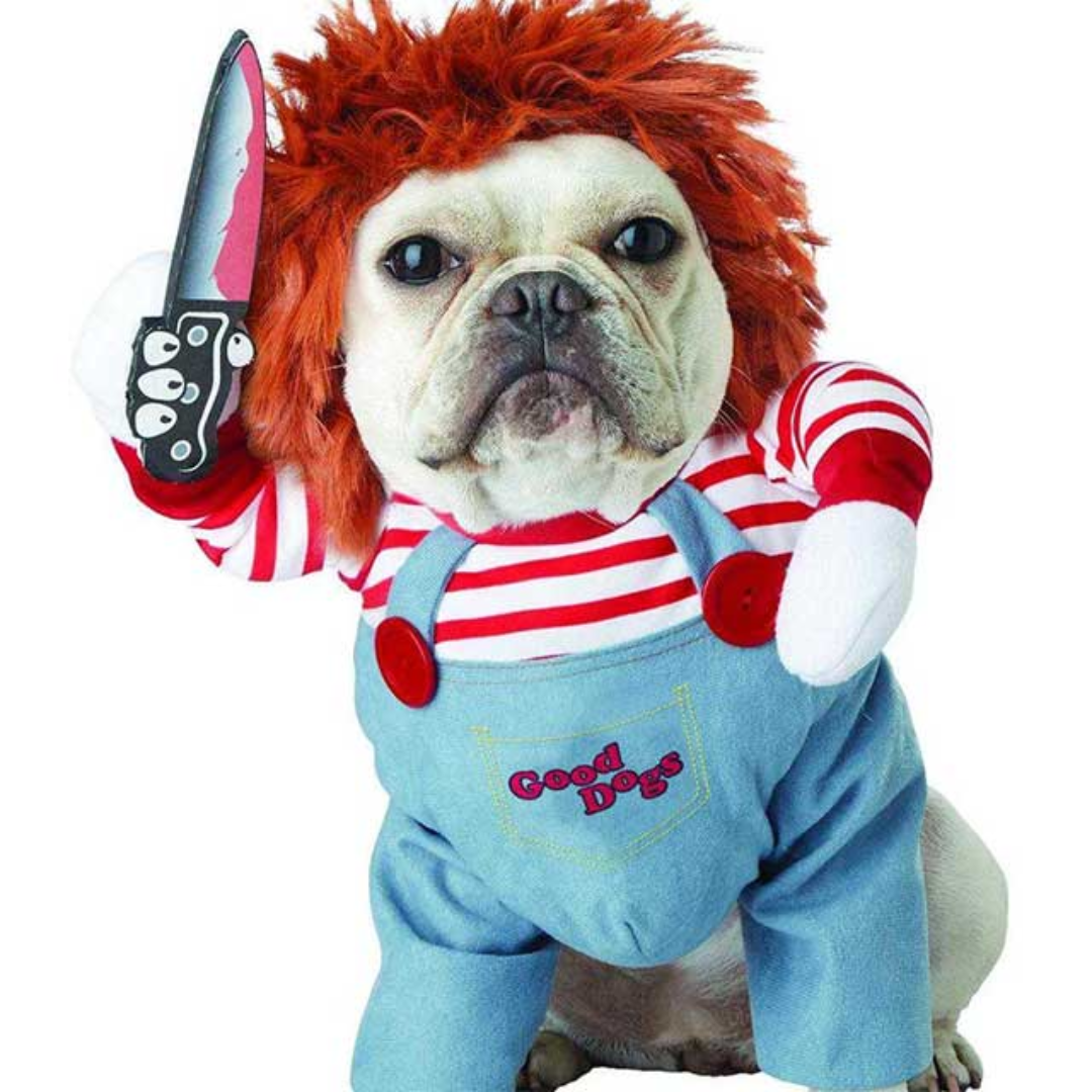 Funny Pet Halloween Outfit