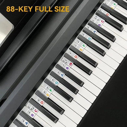 Reusable Piano Key Sticker Labels