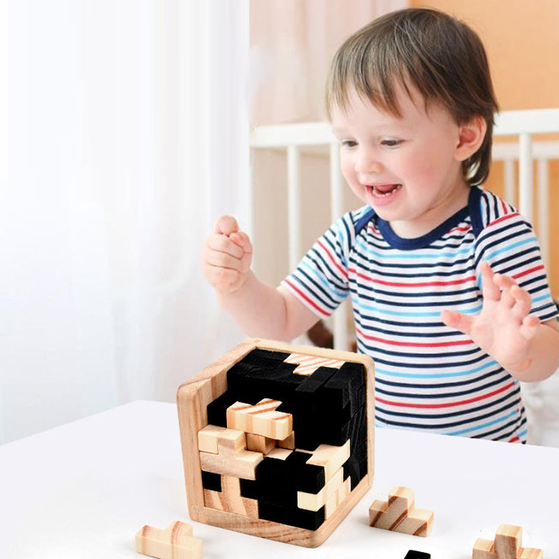 Classic Wooden Puzzle Brain Game