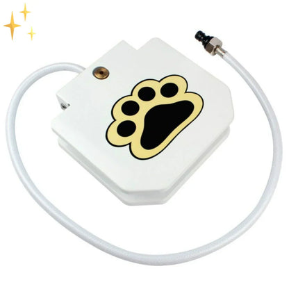 Fun Outdoor Dog Water Splash Toy